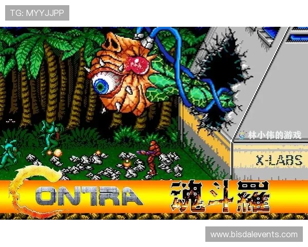 FC游戏大全完整收录，涵盖从早期到现代的所有经典游戏作品