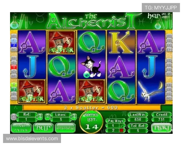 老虎机玩法简介50字：新手必看老虎机玩法指南，轻松掌握游戏诀窍