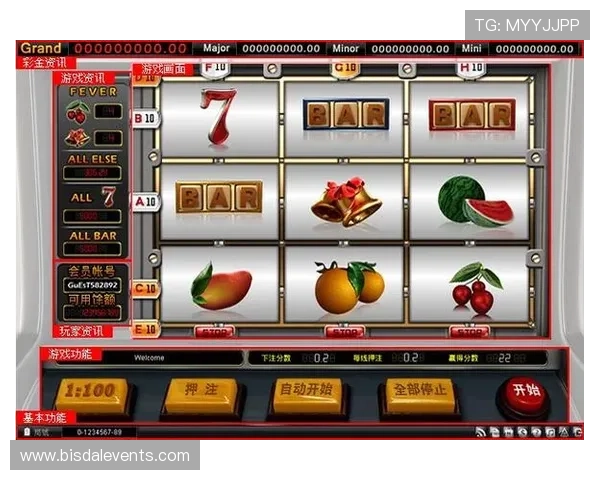 老虎机网娱乐：探索不同类型老虎机游戏的乐趣与玩法